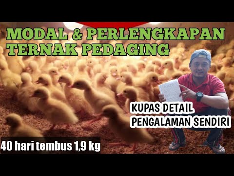 Berapa kali ko bikin sa ni kecewa ko tra bisa hitung - Time To Go | Lagu Timur Terbaru 2021 - MPL