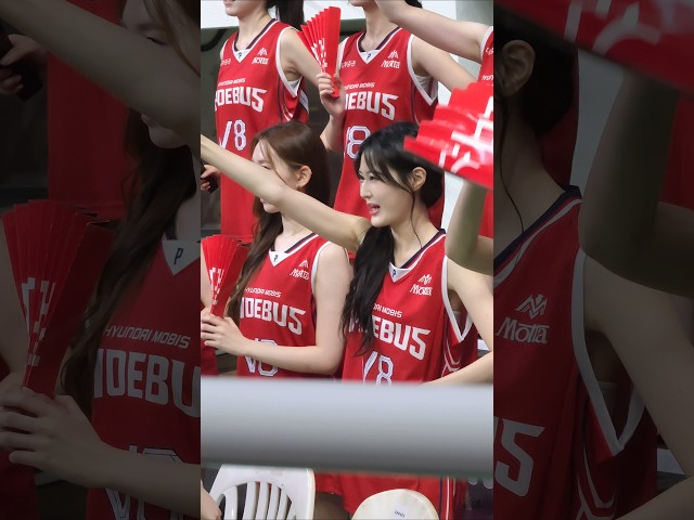 모비스 신입 치어리더들🙇 #현대모비스 #피버스걸 #김다솔 #신입치어리더 #김다솔치어리더 #cheerleader