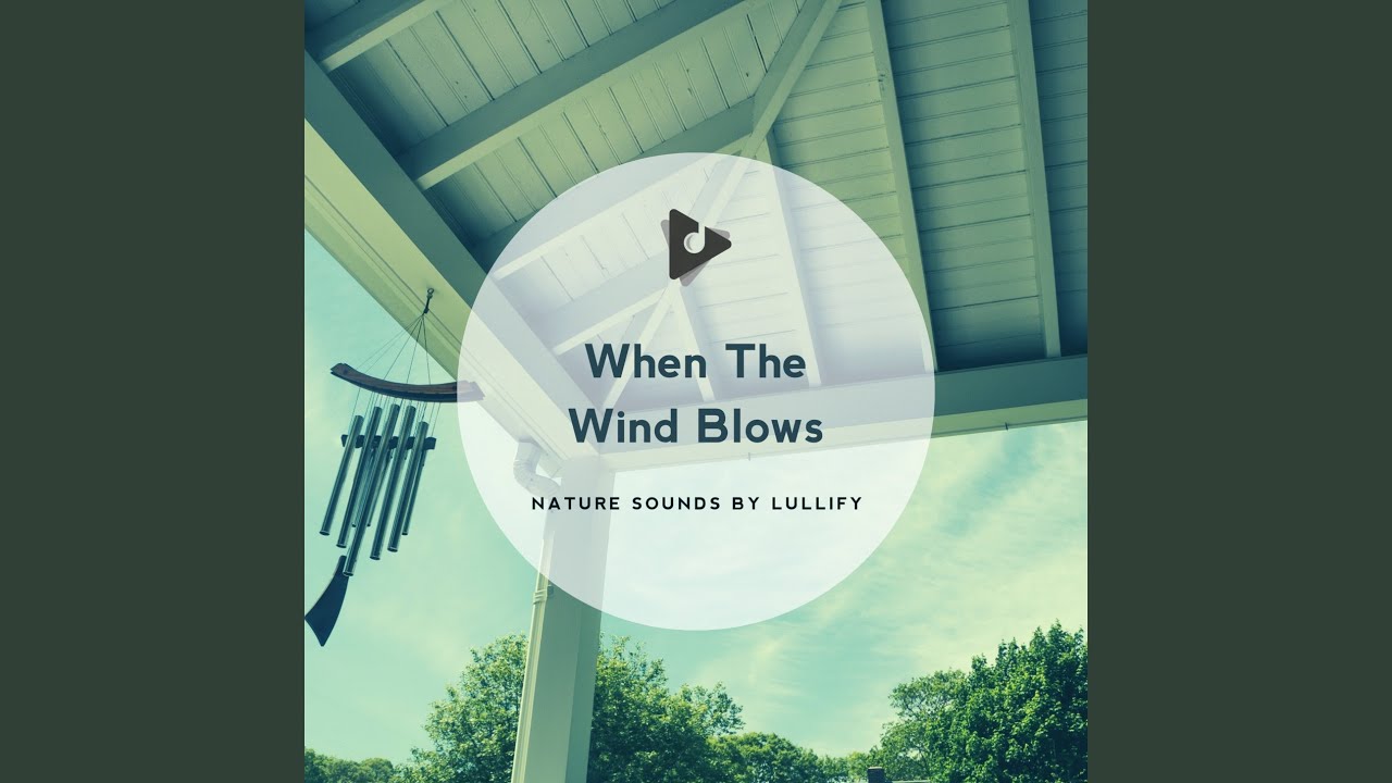 Guarda Dui su YouTube Guarda Dui su YouTube