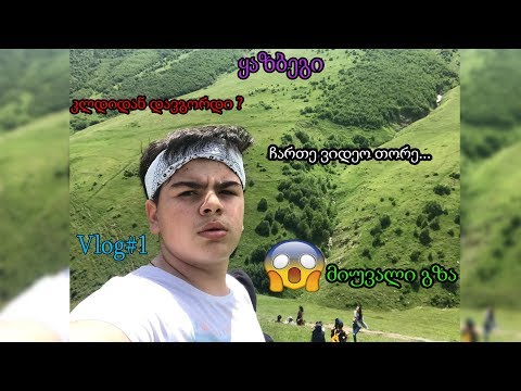 ⭕️ექსკურსია🌳ყაზბეგში - 😱ლამის კლდიდან დავგორდი 😨! Vlog#1