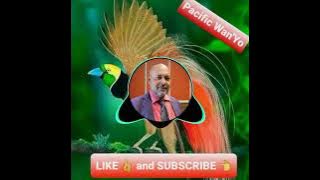 Late Hon. Sam Basil  Farewell Song _ Kronos