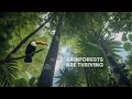 Can Sukun Really Harness the ENERGY of NATURE?