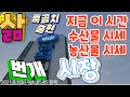 삼척 번개시장 농수산물 시세, 시장사람들 삶의 이야기 견문록 모조리 공개♡삶0905/Samcheok Beongae Market, korea