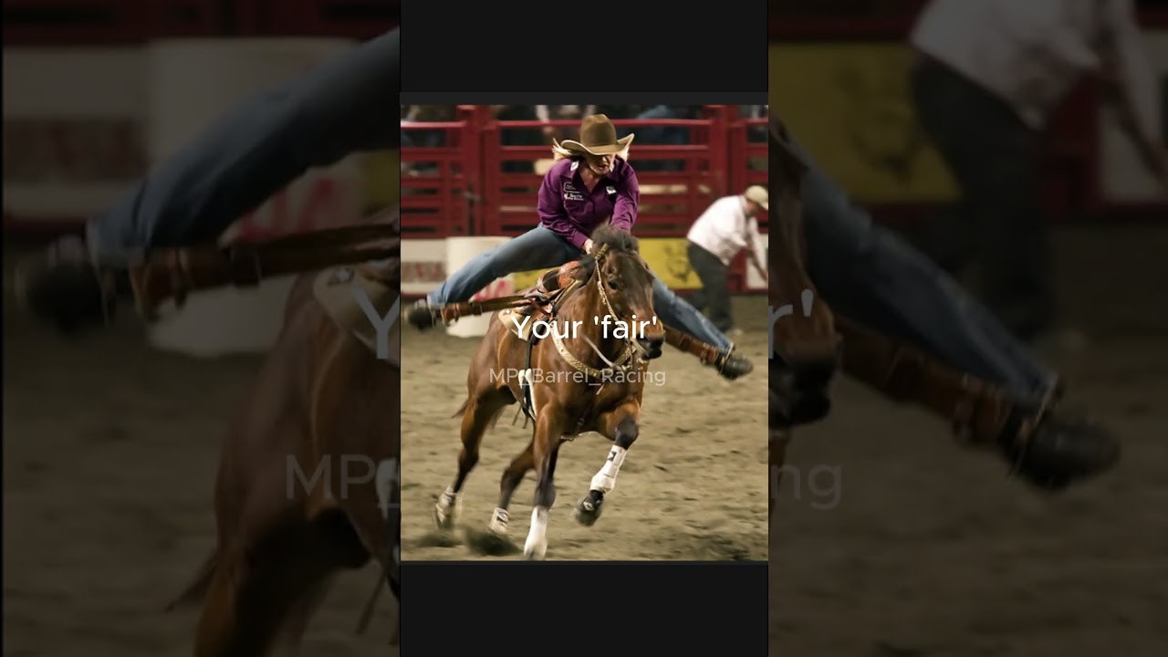 I'M THE 'INSANE' ONE? HUH? #fypシ゚viral #fypシ゚viral #horse #mine #rodeo #equestrian