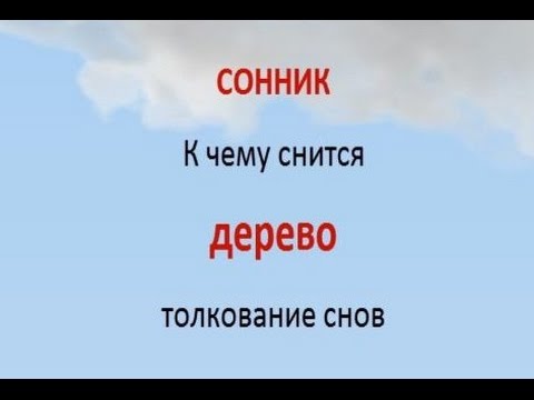 Деревья во сне к чему снится женщине. Сонник к чему снятся деревья. Сонник дерево. Сонник падение дерева. Во сне приснилось дерево.