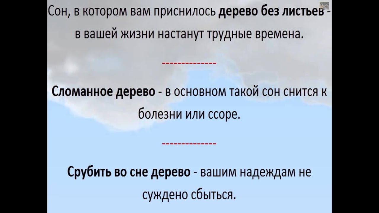 Деревья во сне к чему снится женщине. Сонник к чему снятся деревья. Во сне приснилось дерево. Что означает дерево во сне. Деревья сонник значение сна.