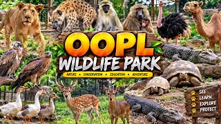 African Zoo Full Tour of ALL ANIMALS - Wildlife park in Nigeria - OOPL wildlife park