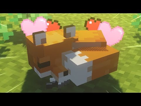 YouTube 영상