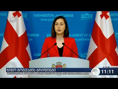 ნინო გოგუაძემ ბრიფინგი გამართა