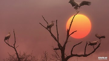 من أذكار النوم ما تجعله آخر ما تتكلم به ، لاختصاصه بفضل عظيم ، فما هو ؟