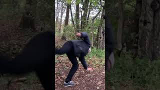 Parkour + Kung Fu in the woods, part 1