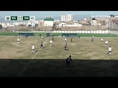 შევარდენი 2:4 ვიტ ჯორჯია [მიმოხილვა]