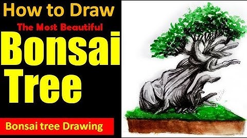 How to draw a beautiful bonsai tree | Step by Step | By Prakhar Shrivastava