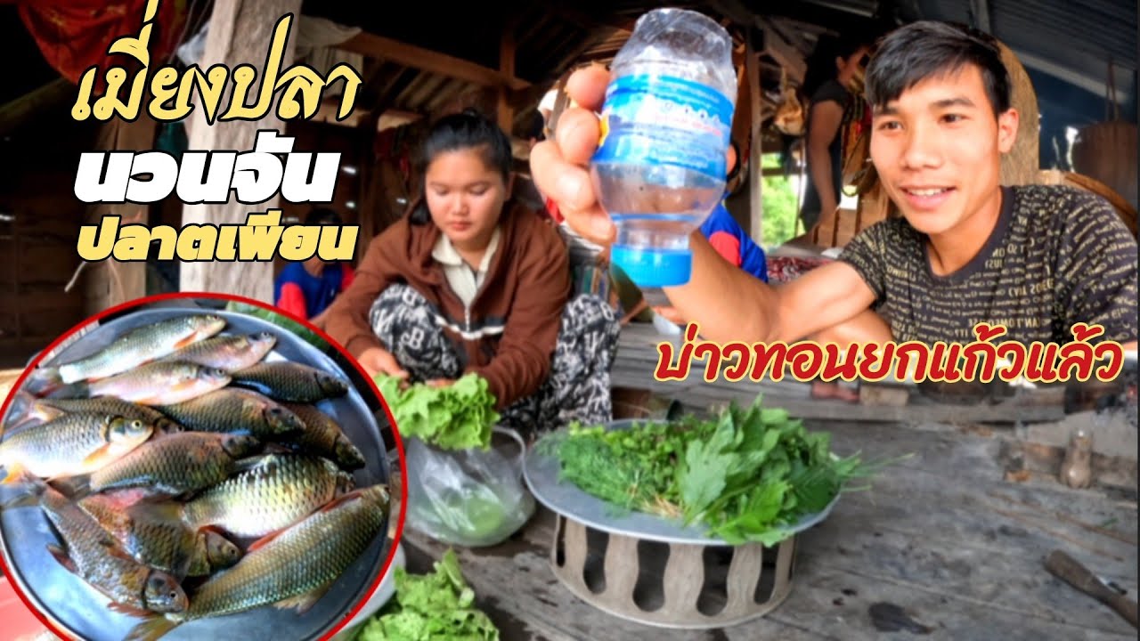 18 กุมภาพันธ์ ค.ศ. 2026 ทำเมีย่งปลานวนจันแก้มเหล้าขาว😅😅//ເຮັດຈຳປາກິນແກິມກັບເຫລ້າຂາວThonBanNa