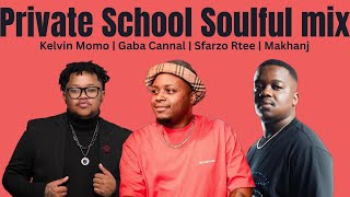 PRIVATE SOULFUL AMAPIANO mix (Kelvin Momo, Gaba Cannal, Sfarzo Rtee, Makhanj, Sol Phenduka, Mashudu)