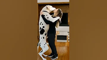 Dogloversdog Ilovemydog Animeedits Dog Petstagram Dogslife Instagood Happydog 