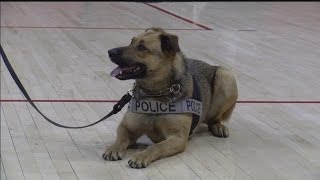 UNL adds two K-9 units