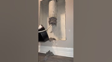 Dirty Vent 🔥 Fire Hazard #dryerventcleaning #laundry #cleaning #firehazard hazard #oddlysatisfying