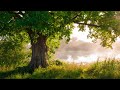 Beautiful Piano Music - Relaxing Music, Study Music, Stress Relief, Sleep Music (Erin)