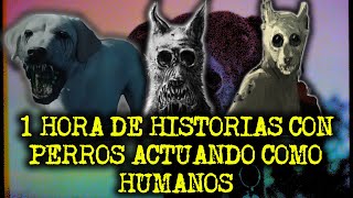 1 Hora De Historias Con Perros Actuando Como Humanos