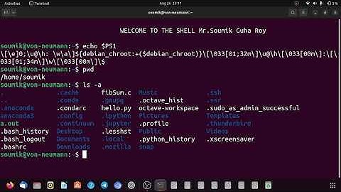 7 Change of the PS1 Variable
