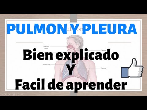 Video: ¿Qué pleura es sensible al dolor?