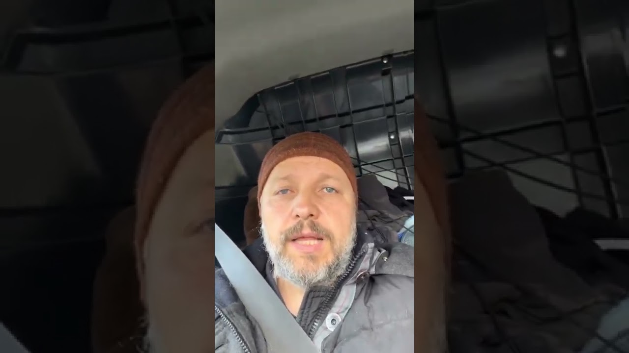 Едем в клинику с новым песиком 🚘 - YouTube