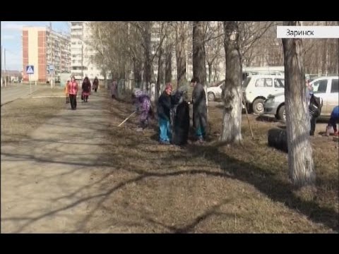 Сотрудники предприятий Заринска вышли на очистку города