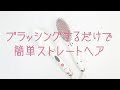 Areti（アレティ） ヒートブラシ ヘアアイロン ストレート ブラシ型 東京発メーカー i1661