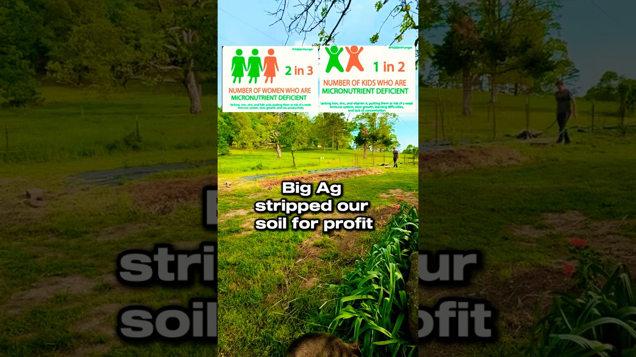 Big Ag Stole 40% Of Your Nutrition