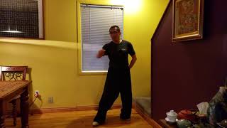 Xing Yi Quan: Five Element Single-Hand Force Training Demonstration