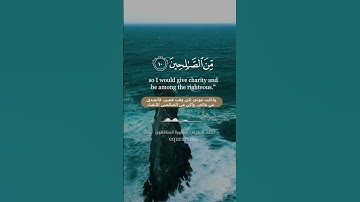 سورة المنافقون [ 10 - 11 ] ~ القارئ أحمد النفيس