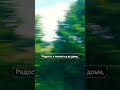 СТИХ ЧУДО  #shortvideo #shorts #short #стихи #стихотворения #поэзия #творчество #лирика