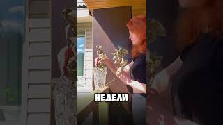 А вам приносят подарки?) #кот #когка #кошки #котята