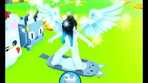 Unlocking the cat hoverboard in Pet Simulator X