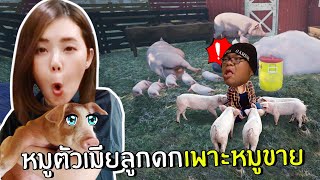 หมูตัวเมียลูกดกเพาะหมูขาย #11 | Ranch Simulator screenshot 5