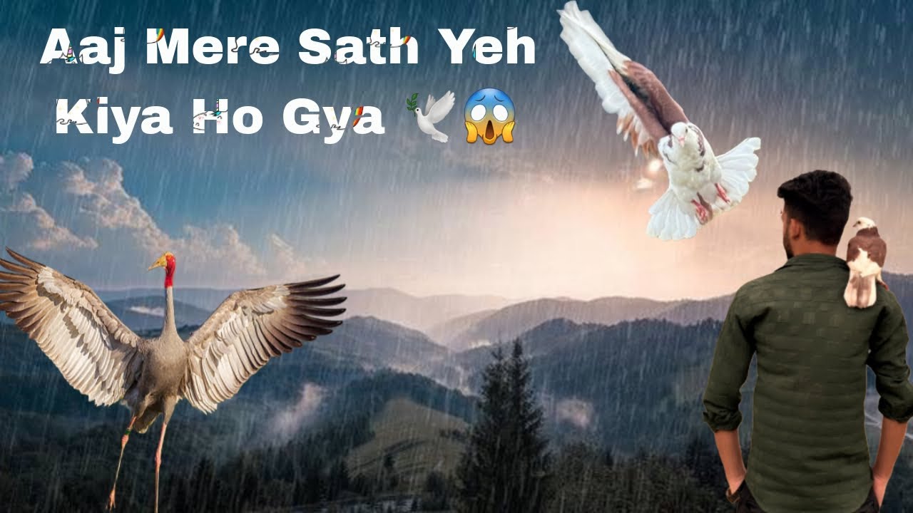 Aaj Mere Sath Yeh Kiya Hua 😱🕊️|| Zroor dekhe ek baar 😱🕊️ || Aaj Ki Video Bahut Acchi h 😘🕊️