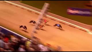 2023 IRISH GREYHOUND DERBY FINAL
