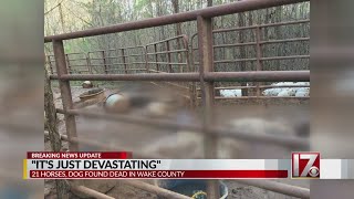 'It's just devastating,' horse owners say after 21 horses found dead in Wake County