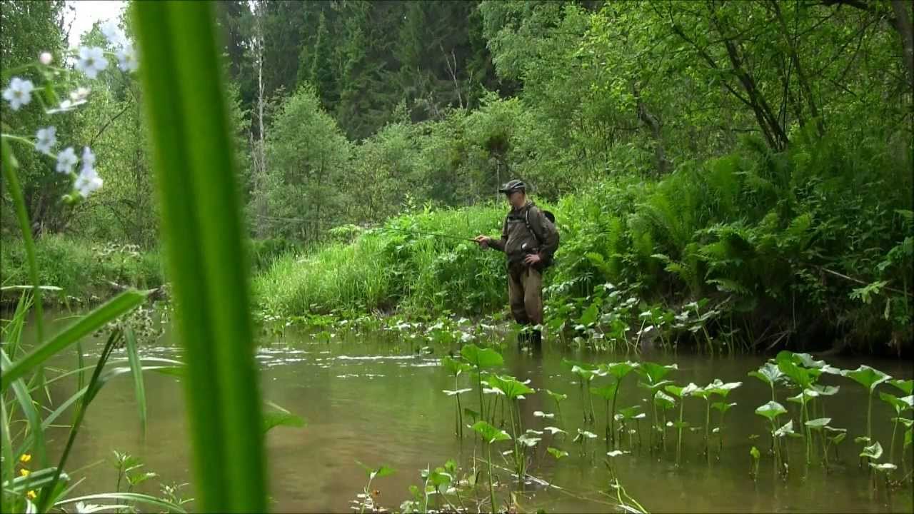 Рыбалка нахлыстом на ручьях