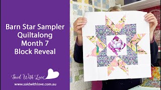 Barn Star Sampler QAL Month 7 Block Reveal