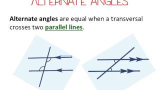 Year 8: Transversal and Parallel Lines