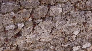 Joshua Fit The Battle Of Jericho - Dr. Joe Utterback