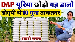 डीएपी खाद को भूल जाओगे ये खाद डालने के बाद | DAP से 10 गुना ताकतवर खाद | DAP khad ki jagah kya dalen