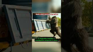 Macaquinho salva motorista atrapalhado em viagem caótica