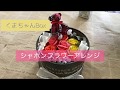 くまちゃんBoxシャボンフラワーアレンジ