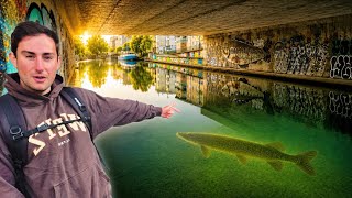 Quelque chose rôde sous ce tunnel... pêche au vif et au leurre !