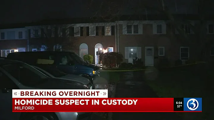 VIDEO: Milford homicide suspect in custody