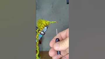 One Minute Wooly Bugger! @flytying