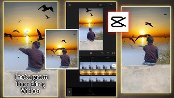 Sky Change Video Editing In Capcut || 1 Click & Bird Fly Effect | Capcut Video Editing | Sky Change